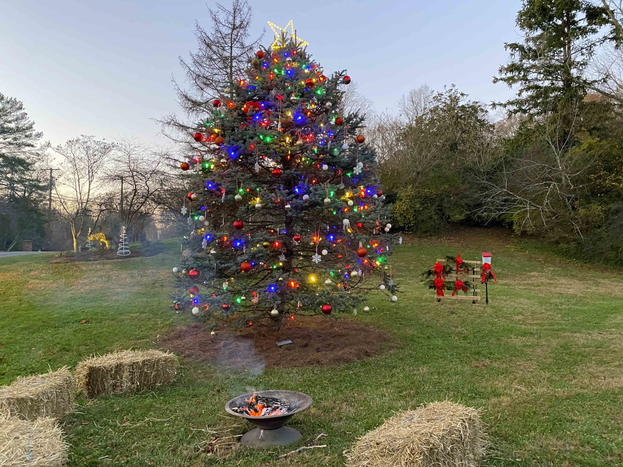 Christmas Tree Decorating 2021