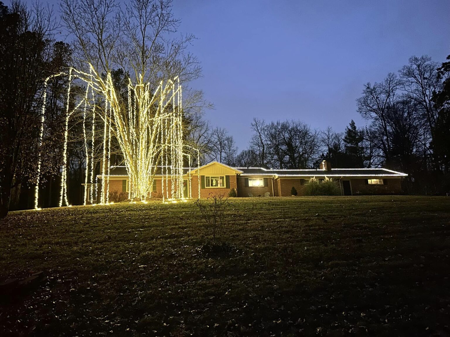 Holiday Spirit Award Winners